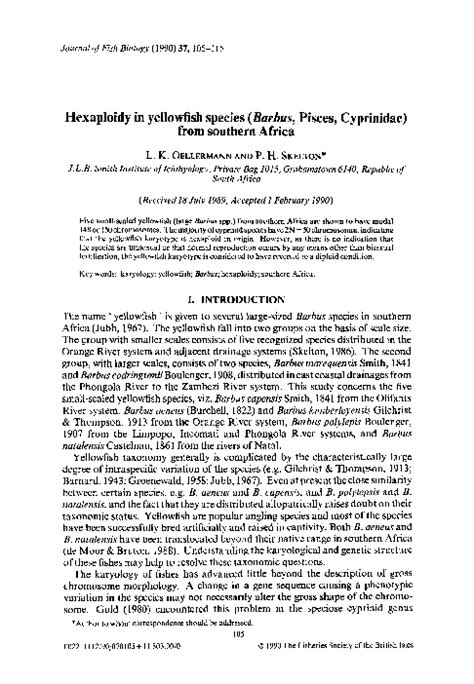 (PDF) Hexaploidy in yellowfish species (Barbus, Pisces, Cyprinidae ...