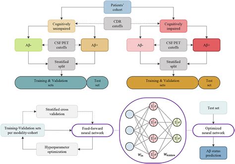 Frontiers Comparative Analysis Of Multimodal Biomarkers For Amyloid