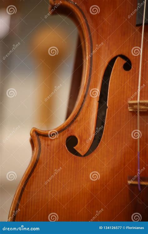 Violin Detail With Strings Stock Image Image Of Stringed Concert