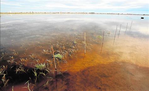 Albufera de Valencia La perellonà el esplendor de la Albufera