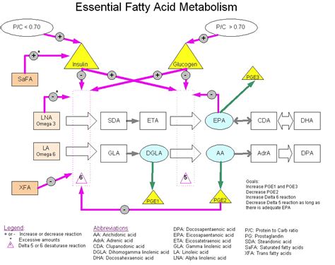 Essential Fatty Acid Metabolism