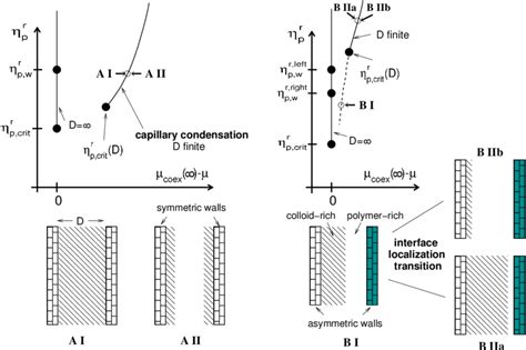 Schematic phase diagrams of a colloid-polymer mixture confined between... | Download Scientific ...