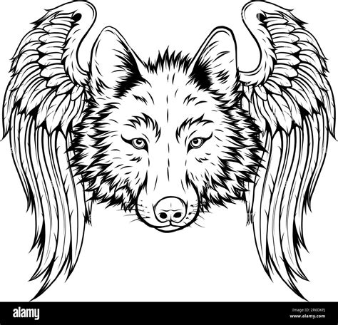 Loup Ail Banque D Images Vectorielles Alamy