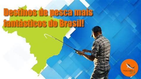 Os 10 destinos de pesca mais fantásticos do Brasil Pescaria S A