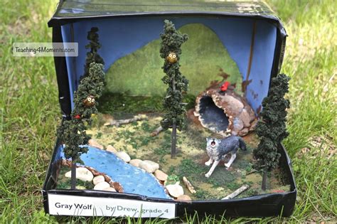 Making Habitat Dioramas in 2024 | Diorama kids, Habitats, Animals for kids