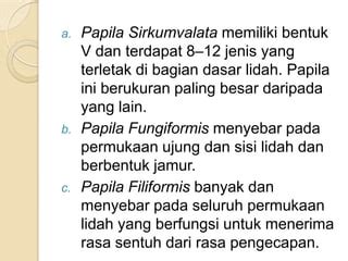 pengertian Indra pengecap ( Lidah ) | PPT