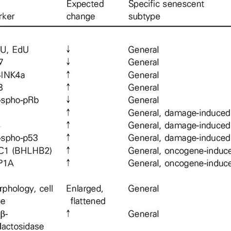 Biomarkers Of Cellular Senescence And Detection Methods If