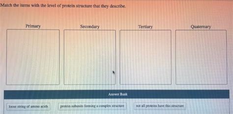 Solved Match The Items With The Level Of Protein Structure Chegg