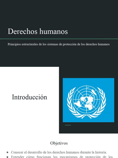 Introducción A Los Derechos Humanos Principios Estructurales De Los Sistemas De Protección De