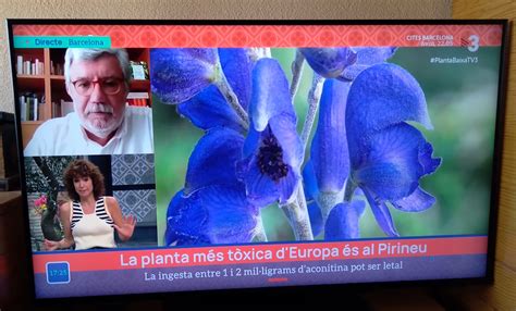 Cèsar Blanché entrevistat al programa de TV3 Planta Baixa Blog del