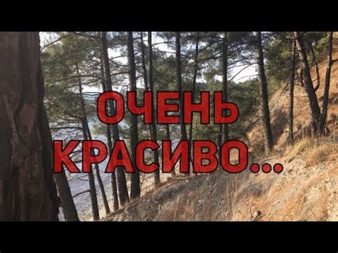 НОВОРОССИЙСК - ГЕЛЕНДЖИК - ТУАПСЕ: ПУТЕШЕСТВИЕ В ВЕСНУ НАЧАЛОСЬ 😍🙏 ...