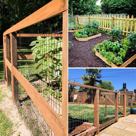 23 Durable DIY Garden Fence Ideas To Keep Your Gaden Safe