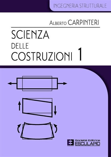 Scienza Delle Costruzioni 1 Vol 1 Alberto Carpinteri Amazon It Libri