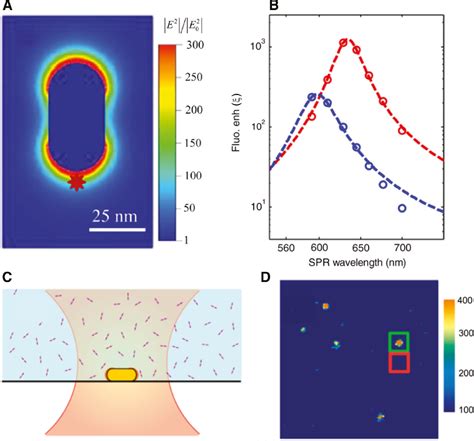 Prospects And Applications Of Plasmon Exciton Interactions In The Near