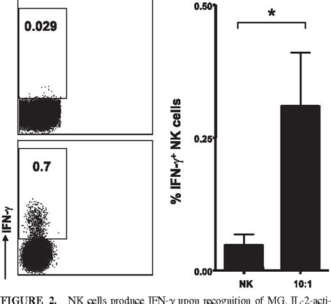 PDF NKp 46 Mediated Recognition Activated Microglia Via NKG 2 Dand