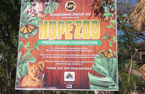 Hope Garden, Hope Zoo, Port Royal Jamaica prt1 - TravelingNatural