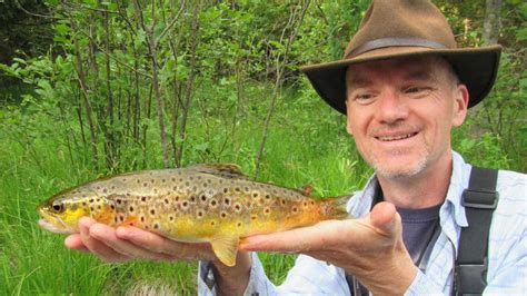 Where To Fly Fish On The Taylor River Co Maps Flies And Technique