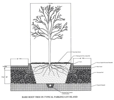 Plantation06: Tree Plantation Diagram - Remote Sensing | Free Full-Text ...