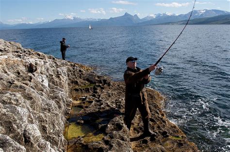 Fishing in Norway islands Lofoten Photograph by Tamara Sushko | Fine ...