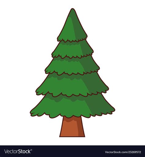 Tree pine cartoon Royalty Free Vector Image - VectorStock