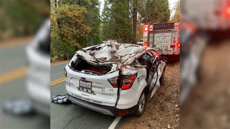 El Dorado County Sheriff's Office volunteer vehicle struck by fallen tree