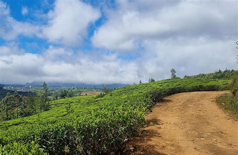 Hiking In Sri Lanka Breathtaking Trails At The Pekoe Trail