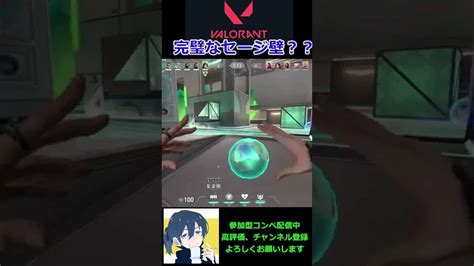 【valorantショート7】完璧なセージ壁のたき方wwshort Valorant動画まとめ