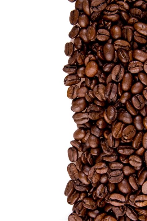 Coffee Beans Png Image Purepng Free Transparent Cc0 Png Image Library