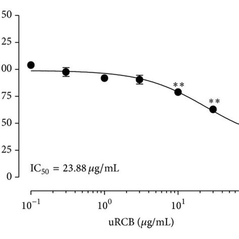 Effect Of The Organic Solvent Fractions Obtained From Urc On The