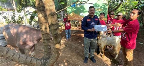 Hari Raya Idul Adha Pt Aquila Transindo Utama Berbagi Kambing Dan