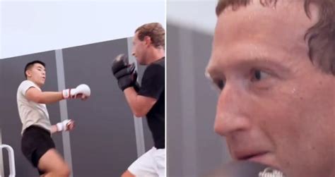 Video Mark Zuckerberg Shows Off MMA Skills While Sparring With UFC Fighter