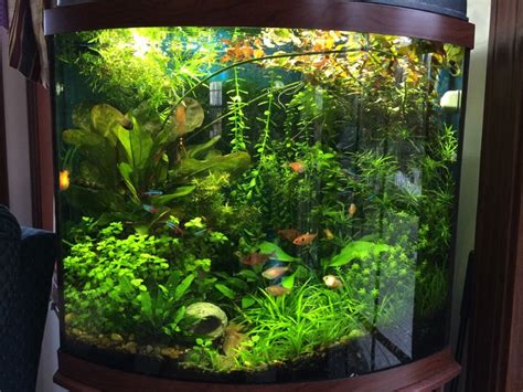 Aquaray Led Aquarium Lights Keepyourmindclean Ideas