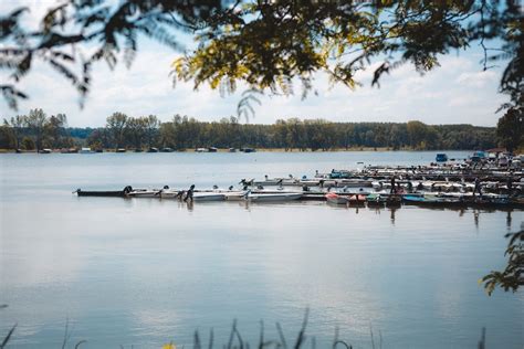 picture riverbank dock river boat harbor lake water river