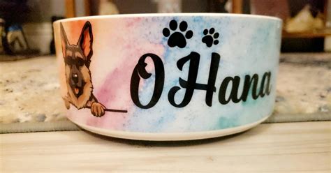 Personalized Custom Dog Bowls, Colorful, Gift for Dog Lovers - PersonalFury