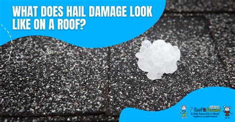 What Does Hail Damage Look Like On A Roof Roof It Forward ARAC