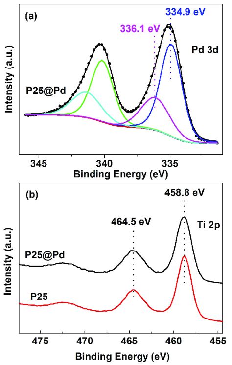 A X Ray Photoelectron Spectroscopy Xps Pd 3d Spectra Of P25 Pd Download Scientific Diagram