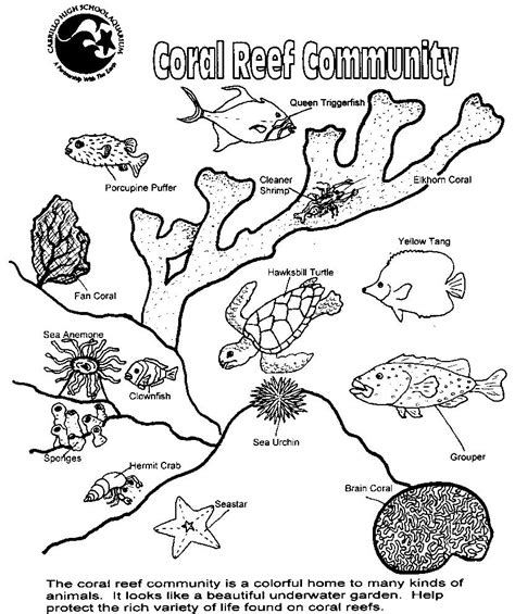 Coral Reef Coloring Page Coloring Home