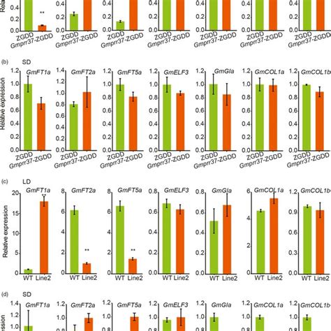 Expression Levels Of Floweringrelated Genes In Leaves Of The WT