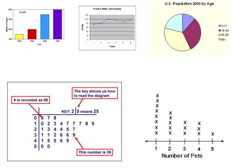 Different Types Different Types Math Graphs