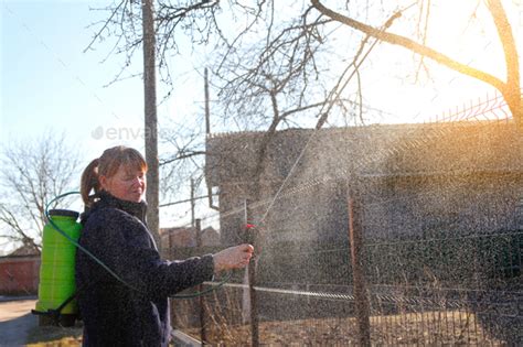 Fumigating Pesti Pest Control Farmer Woman Spraying Tree With Manual