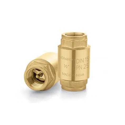 Brass Spring Loaded Check Valve At Best Price In Mumbai Neel Industries