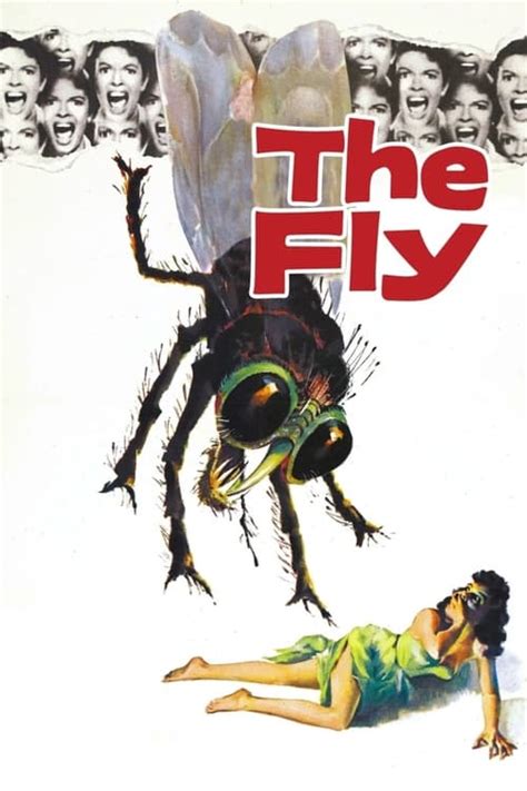 The Fly (1958) — The Movie Database (TMDB)