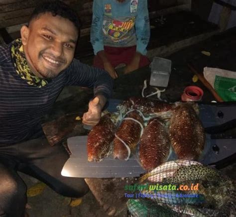 Teknik Cara Mancing Cumi Di Laut Umpan Cumi Sotong Yang Bagus