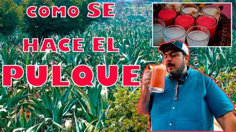 C Mo Preparar Pulque Gu A Paso A Paso Actualizado Febrero