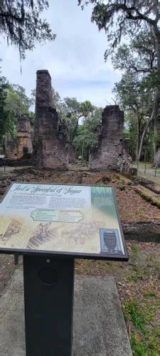 Best Hikes And Trails In Bulow Plantation Ruins Historic State Park