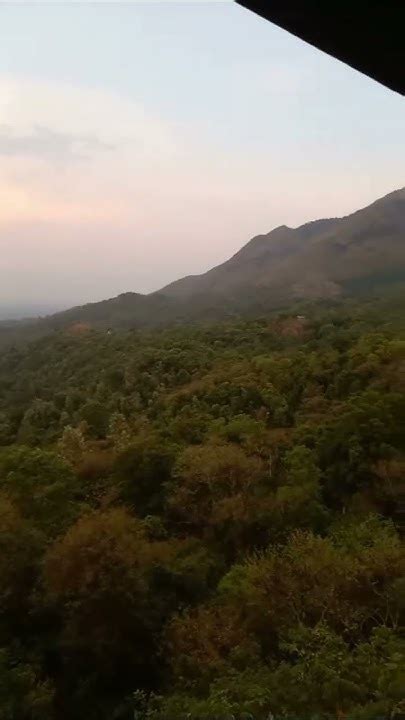 As Far As Eyes Can See Aerial View Of Wayanad Kerala Love To Travel