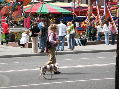 Hunderatgeber Übersicht: Alles rund um den Hund | markt.ch