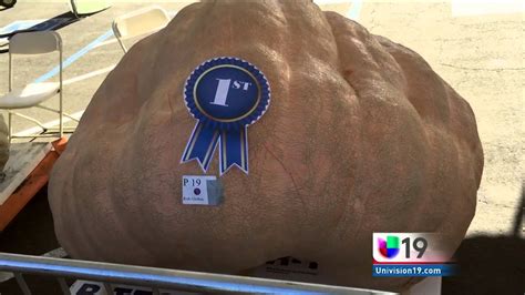 2014 Elk Grove Giant Pumpkin Contest Youtube