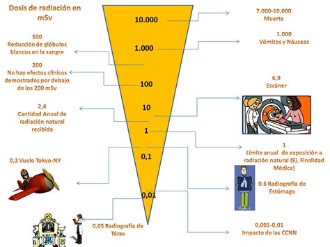 5 Efectos biológicos de la radiación ionizante