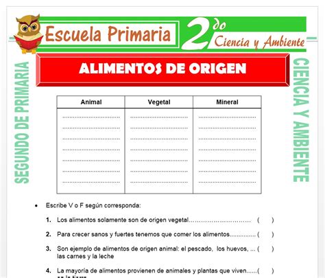 Alimentos De Origen Para Segundo De Primaria Escuela Primaria